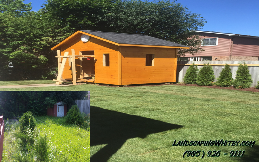 backyard lawn resod